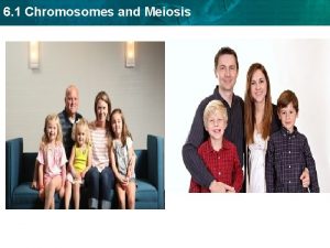 6 1 Chromosomes and Meiosis 6 1 Chromosomes