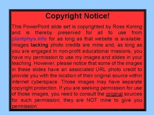 Copyright notice on powerpoint slides Copyright notice on powerpoint slides