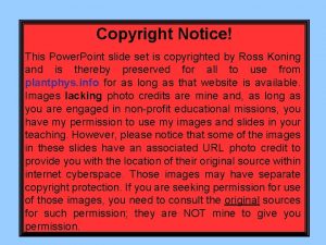 Copyright notice on powerpoint slides