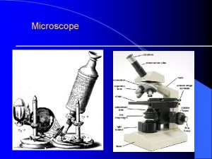 Microscope Microscope The Simple Stain l In a