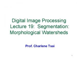 Segmentation by morphological watersheds