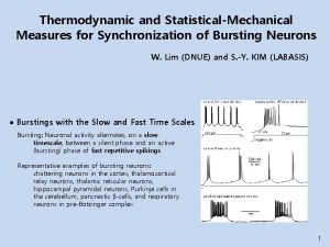 Thermodynamic and StatisticalMechanical Measures for Synchronization of Bursting