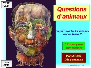 TEST QUIZ Questions danimaux Voyezvous les 30 animaux