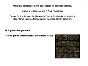 Sexually dimorphic gene expression in somatic tissues Authors