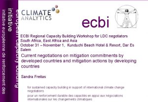 european capacity building initiative ecbi european capacity building