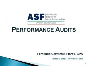 PERFORMANCE AUDITS Fernando Cervantes Flores CPA Brasilia Brazil