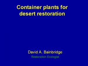 Desert container plants