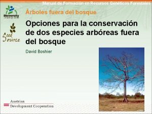 Manual de Formacin en Recursos Genticos Forestales rboles