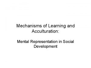 Mechanisms of Learning and Acculturation Mental Representation in