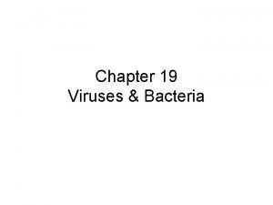 Chapter 19 Viruses Bacteria A Viral Life Functions