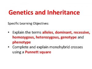 Tongue rolling genetics Tongue rolling genetics
