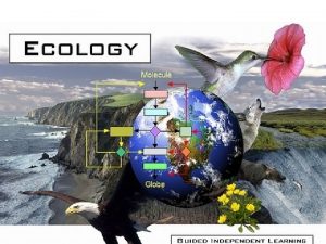 ECOLOGY The study of the interactions among organisms
