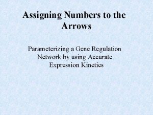 Assigning Numbers to the Arrows Parameterizing a Gene