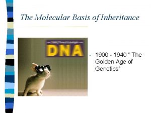 The Molecular Basis of Inheritance 1900 1940 The