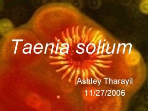 Taenia solium Ashley Tharayil 11272006 Review Pork tapeworm