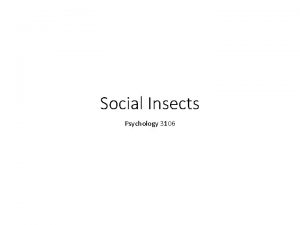 Social Insects Psychology 3106 Introduction Many Insects live