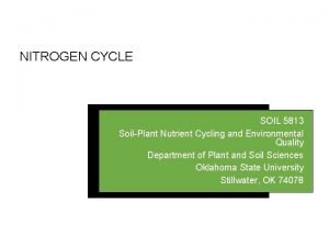 NITROGEN CYCLE SOIL 5813 SoilPlant Nutrient Cycling and