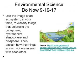 Phosphorus cycle