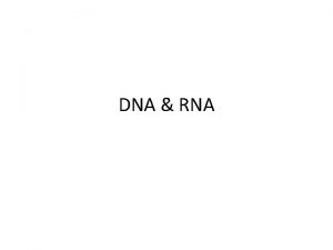 Dna and rna structure