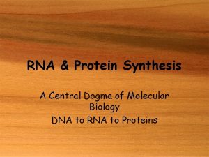 RNA Protein Synthesis A Central Dogma of Molecular