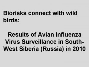 Biorisks connect with wild birds Results of Avian