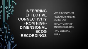 INFERRING EFFECTIVE CONNECTIVITY FROM HIGHDIMENSIONAL ECOG RECORDINGS CHRIS