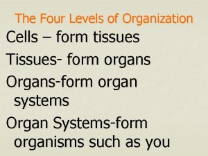 Four levels of organization
