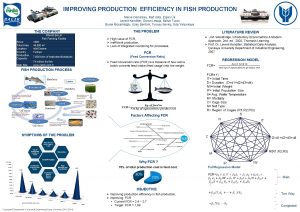 IMPROVING PRODUCTION EFFICIENCY IN FISH PRODUCTION Merve Demiralay