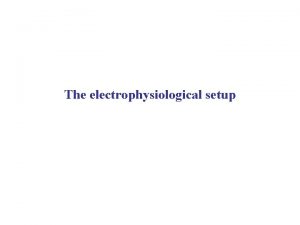 The electrophysiological setup Signal to noise ratio Physiological