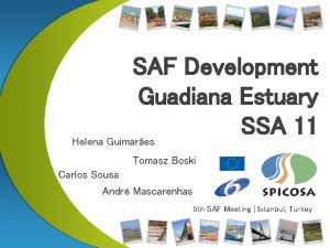 SAF Development Guadiana Estuary SSA 11 Helena Guimares