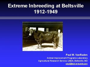 Extreme Inbreeding at Beltsville 1912 1949 Paul M