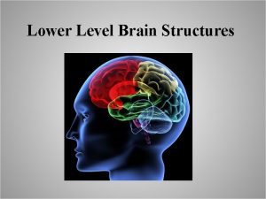 Lower level brain structures Lower level brain structures