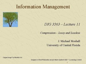 Information Management DIG 3563 Lecture 11 Compression Lossy