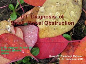 CT Diagnosis of Small Bowel Obstruction Dr Sri