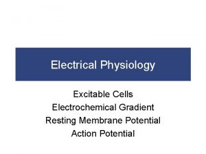 Electrical Physiology Excitable Cells Electrochemical Gradient Resting Membrane