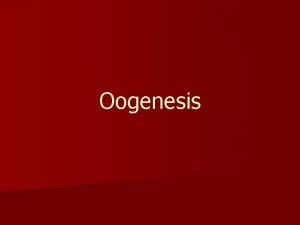 Secondary oocyte Secondary oocyte