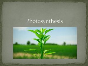 Chemiosmosis in photosynthesis