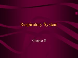 Respiratory system logo
