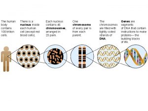 Thirty trillion cells eleven systems Thirty trillion cells eleven systems