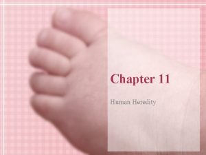 Chapter 11 Human Heredity 11 1 It runs