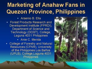 Marketing of Anahaw Fans in Quezon Province Philippines