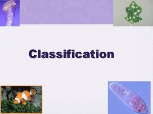 Classification Go to Section The Challenge Biologists have