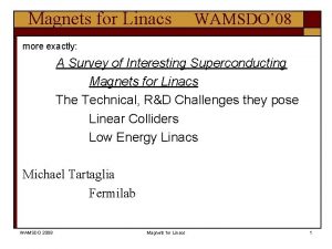 Magnets for Linacs WAMSDO 08 more exactly A