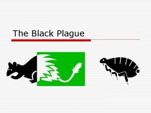 Spread of bubonic plague