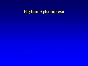 Apicomplexa examples