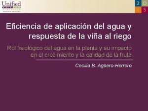 Eficiencia de aplicacin del agua y respuesta de