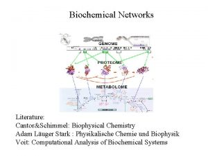 Biochemical Networks Literature CantorSchimmel Biophysical Chemistry Adam Luger