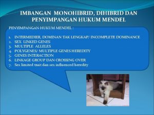 IMBANGAN MONOHIBRID DIHIBRID DAN PENYIMPANGAN HUKUM MENDEL 1