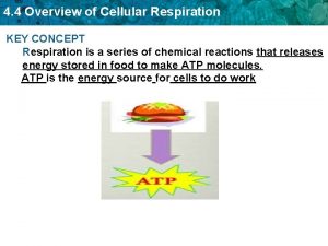 Three types of respiration