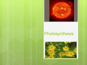 Photosynthesis All living organisms can be divided into